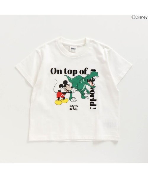 セール Off ディズニーキャラクター恐竜ｔシャツ ブリーズ Breeze Magaseek