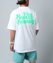 marukawa shonan(marukawa shonan)/ピグメント加工 ヴィンテージ風 サーフTシャツ　Tシャツ　サーフ　ピグメント　ヴィンテージ　リゾート　アウトドア　/ホワイト
