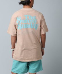 marukawa shonan(marukawa shonan)/ピグメント加工 ヴィンテージ風 サーフTシャツ　Tシャツ　サーフ　ピグメント　ヴィンテージ　リゾート　アウトドア　/ピンク