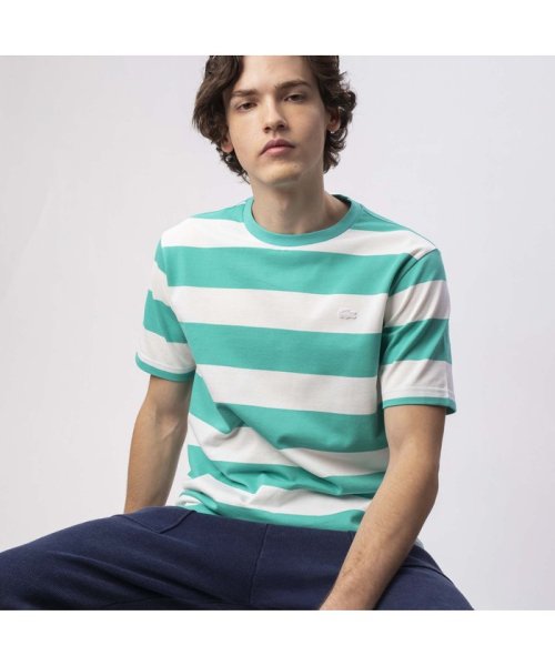 LACOSTE Mens(ラコステ　メンズ)/ビックボーダーTシャツ/グリーン