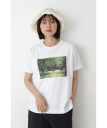 human woman(ヒューマンウーマン)/◆転写プリントTシャツ/グリーン