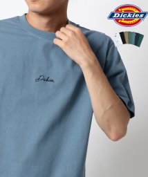 MARUKAWA(マルカワ)/【Dickies】ディッキーズ ロゴ 刺繍 半袖 Tシャツ/サックス