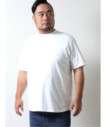 GRAND-BACK(グランバック)/【大きいサイズ】GB by FATTURA プレミアム ドレス半袖Ｔシャツ/ホワイト