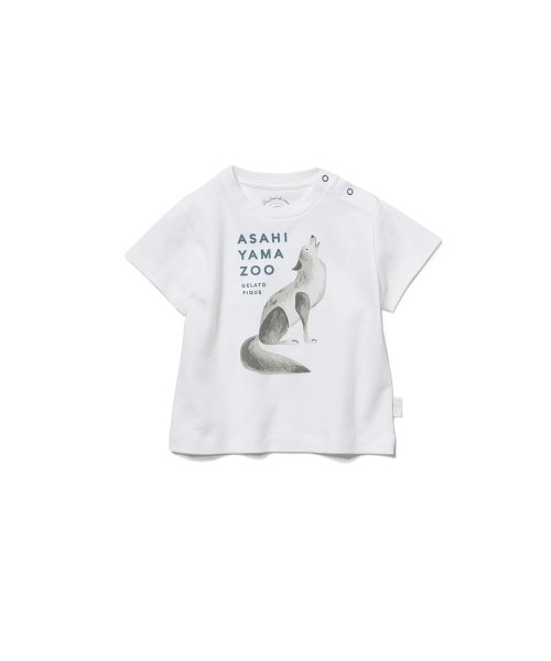 Baby 旭山動物園 オオカミ Baby Tシャツ レディースファッション 阪急百貨店公式通販 Hankyu Fashion Baby 旭山動物園 オオカミ Baby Tシャツ レディースファッション 阪急百貨店公式通販 Hankyu Fashion