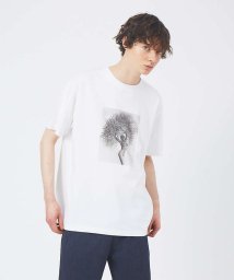 ABAHOUSE(ABAHOUSE)/【HerbRitts / ハーブ・リッツ】フォト Tシャツ/ホワイト系その他3