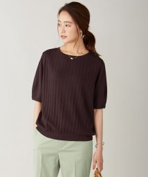 J.PRESS LADIES（LARGE SIZE）(J．プレス　レディス（大きいサイズ）)/【UVカット・洗える】Functional Cotton Blend プリーツ ニット/ダークブラウン系