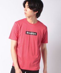 STYLEBLOCK/半袖ボックスロゴプリントTシャツ/504083352