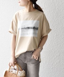 SHIPS WOMEN(シップス　ウィメン)/* オーガニックコットン フォト ショート スリーブ TEE 24SS ◇/キャメル