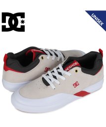 DC SHOES/DC SHOES ディーシーシューズ スニーカー メンズ レディース インフィニット INFINITE SP グレー DM204010/504114087