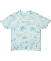 MAISON mou(メゾンムー)/【FRUIT OF THE LOOM/フルーツオブザルーム】FTL TYEDYE TEE/タイダイ染め  TEE/ブルー