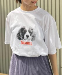 新柄追加 Dog Cat 犬猫プリントtシャツ Gloster Gloster Magaseek 新柄追加 Dog Cat 犬猫プリントtシャツ Gloster Gloster Magaseek