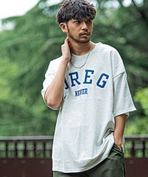 CavariA(キャバリア)/CavariA 裏毛カレッジロゴ入りクルーネック半袖ドロップショルダービッグTシャツ メンズ 半袖 大きいサイズ ブランド カットソー おしゃれ カレッジ ロゴ/その他系6