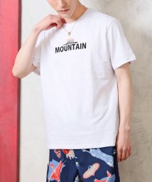 TopIsm(トップイズム)/USAコットン 綿100％ 半袖 メンズ ビッグシルエット Tシャツ/ホワイト