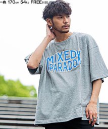 CavariA(キャバリア)/CavariA カレッジロゴ入りクルーネック半袖ヘヴィーウェイトビッグTシャツ メンズ 半袖 大きいサイズ ビッグシルエット 厚手 ヘビーウェイト プリント カ/その他系13