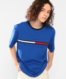 TOMMY HILFIGER/トミーヒルフィガー ロゴ Tシャツ / TINO TEE/504128517