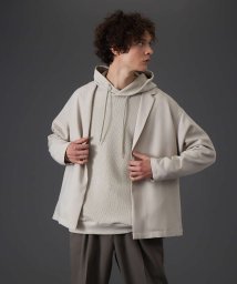 ABAHOUSE(ABAHOUSE)/【MYSELF ABAHOUSE】POLY WOOLLY TWILL ポリウーリ/ベージュ