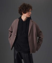 ABAHOUSE(ABAHOUSE)/【MYSELF ABAHOUSE】POLY WOOLLY TWILL ポリウーリ/グレージュ