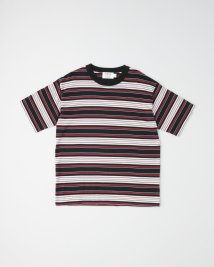 Traditional Weatherwear(トラディショナル　ウェザーウェア)/COTTON BORDER KNIT T－SHIRT/ブラック