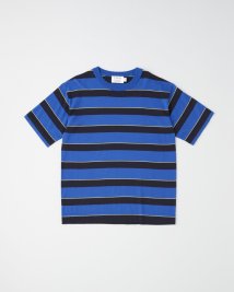 Traditional Weatherwear(トラディショナル　ウェザーウェア)/COTTON BORDER KNIT T－SHIRT/ブルー系1