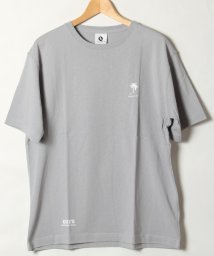 ALWAYS GOOD TIME NEW BASIC STORE(オールウェイグッドタイムニューベーシックストア)/【QUE　/ キュー】　USAコットン 1POINT　SURF/サーフTEE　/グレー