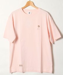 ALWAYS GOOD TIME NEW BASIC STORE(オールウェイグッドタイムニューベーシックストア)/【QUE　/ キュー】　USAコットン 1POINT　SURF/サーフTEE　/ライトピンク