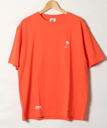 ALWAYS GOOD TIME NEW BASIC STORE(オールウェイグッドタイムニューベーシックストア)/【QUE　/ キュー】　USAコットン 1POINT　SURF/サーフTEE　/杢オレンジ