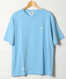 ALWAYS GOOD TIME NEW BASIC STORE(オールウェイグッドタイムニューベーシックストア)/【QUE　/ キュー】　USAコットン 1POINT　SURF/サーフTEE　/サックス