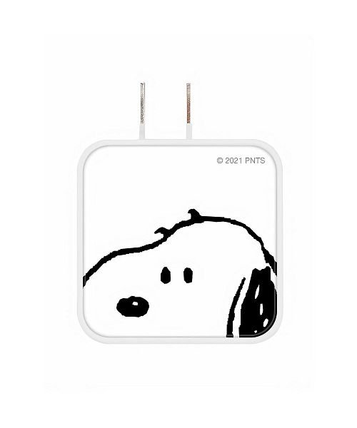 Acアダプタ キャラクター Usb A Type C 対応 バックヤード Backyard Magaseek
