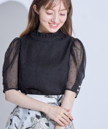 tocco closet(トッコクローゼット)/フロッキードットプチフリルネックシアーブラウス/BLACK