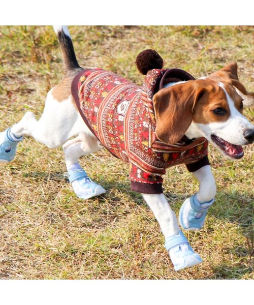 セール 犬 靴 犬靴 犬用靴 ドッグシューズ スニーカー 夏 肉球やけど防止 履かせやすい くつ 秋 冬 秋冬 冬服 毛抜け防止 毛落ち防止 おしゃれ 可愛い 女の子 はっぴーdog Happy Dog Magaseek