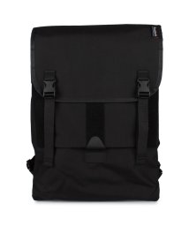 Bagjack/bagjack バッグジャック スキッドキャット リュック バッグ バックパック メンズ レディース 防水 25L－32L SKIDCAT L ブラック ホワイ/503749409