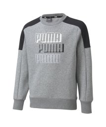 PUMA(PUMA)/キッズ ALPHA クルー スウェット FL 120－160cm/MEDIUMGRAYHEATHER