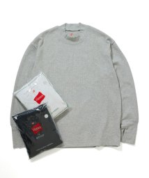 ADAM ET ROPE'(アダム　エ　ロペ)/【Hanes for BIOTOP】Cotton Stretch Thermal Mock Neck/グレー（07）
