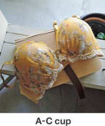 アンフィ Amphi Aカップの通販 Magaseek