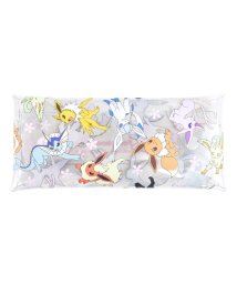 RUNNER(ランナー)/ポケットモンスター ポケモン ペンケース 筆箱 小物入れ クリアマルチケース Lサイズ 透明 クリア PVC キャラクター おしゃれ かわいい 可愛い シンプル/ホワイト