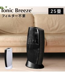 Ionic Breeze(イオニックブリーズ)/イオニックブリーズ Ionic Breeze 空気清浄機 フィルター交換不要 小型 25畳 消臭 ウイルス ホコリ PM2.5対策 MIDI 590/ブラック