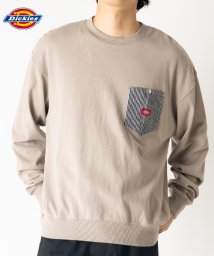 Dickies(Dickies)/【Dickies】ディッキーズ　布帛ポケット付き(デニム生地/ストライプ柄)　長袖Tシャツ/グレイ