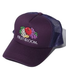 FRUIT OF THE LOOM(フルーツオブザルーム)/LOGO MESH CAP/パープル