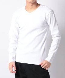 AVIREX(AVIREX)/【AVIREX】アヴィレックス　テレコリブV/N　長袖Tシャツ/ホワイト