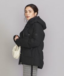 BEAUTY&YOUTH UNITED ARROWS(ビューティーアンドユース　ユナイテッドアローズ)/＜DESCENTE ALLTERRAIN＞MIZUSAWA DOWN MOUNTAINEER/水沢ダウン マウンテニア－L/BLACK