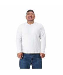 MAC HOUSE(men)(マックハウス（メンズ）)/[大きいサイズ] NAVY ネイビー 畔フェイクレイヤードクルーTシャツ キングサイズ MH/03787FW－K/ホワイト