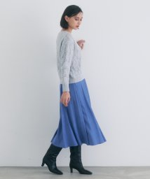 ANAYI(アナイ)/エコスエードフレアプリーツ スカート/ブルー