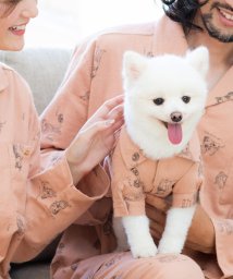 fran de lingerie/cotton flannel小型犬サイズ・犬服(ドッグウェア)・シャツ/504321266