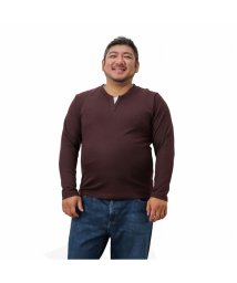 MAC HOUSE(men)/[大きいサイズ] MOSSIMO モッシモ ストライプレイヤードTシャツ キングサイズ 1474－9726KG/504322476