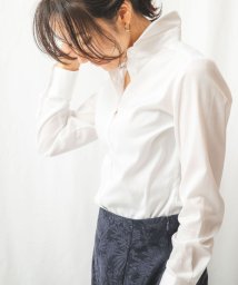 NARA CAMICIE/コットンシャンブレーベーシックカラー長袖ブラウス/504323983