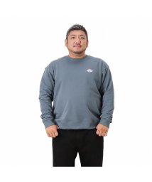 MAC HOUSE(men)(マックハウス（メンズ）)/[大きいサイズ] Dickies ディッキーズ 裏毛プリントクルートレーナー キングサイズ 1474－9716KG/ブルー