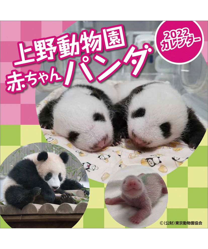 Hand Sign Hand Sign 上野動物園赤ちゃんパンダ Magaseek