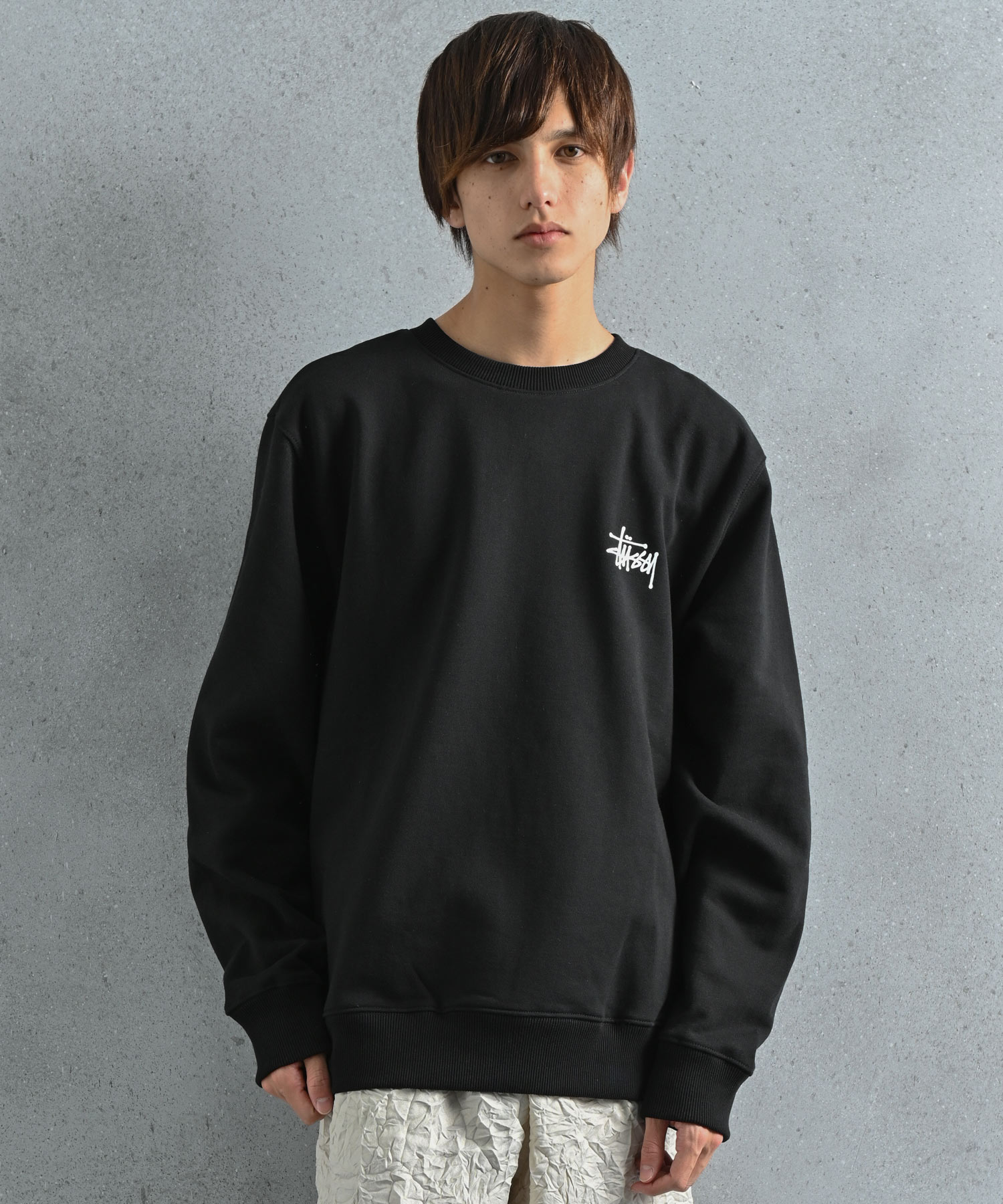 STUSSY (ステューシー) BASIC STUSSY CREW スウェットプルオーバー