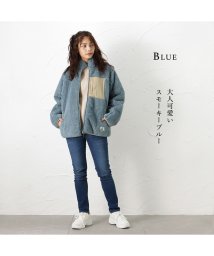 MAC HOUSE(women)(マックハウス（レディース）)/CAPTAIN STAG キャプテンスタッグ 防風ボアスタンド 1482－8930/ブルー