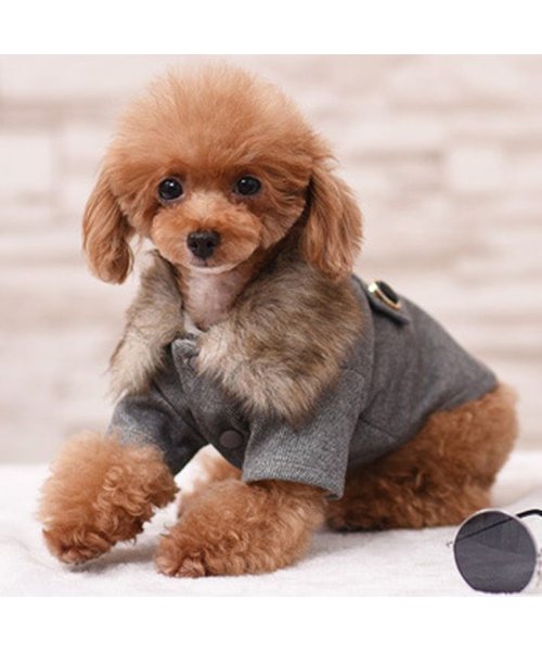 セール 犬 服 犬服 犬の服 コート アウター ジャケット ファー 前ボタン 暖かい 裏起毛 ボア ドッグウェア 秋 冬 秋冬 冬服 おしゃれ 可愛い 女の子 男の子 はっぴーdog Happy Dog Magaseek